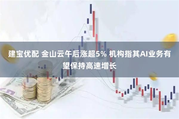 建宝优配 金山云午后涨超5% 机构指其AI业务有望保持高速增长