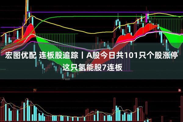 宏图优配 连板股追踪丨A股今日共101只个股涨停 这只氢能股7连板