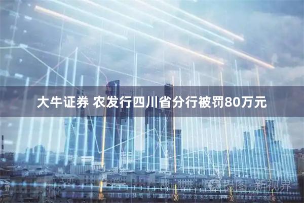 大牛证券 农发行四川省分行被罚80万元