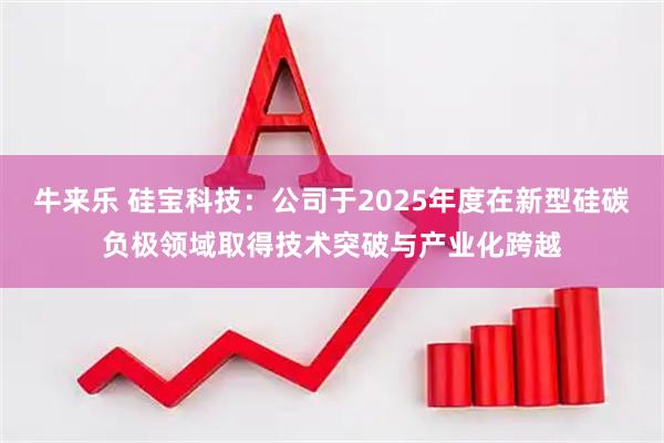 牛来乐 硅宝科技：公司于2025年度在新型硅碳负极领域取得技术突破与产业化跨越