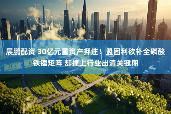 展鹏配资 30亿元重资产押注！盟固利欲补全磷酸铁锂矩阵 却撞上行业出清关键期