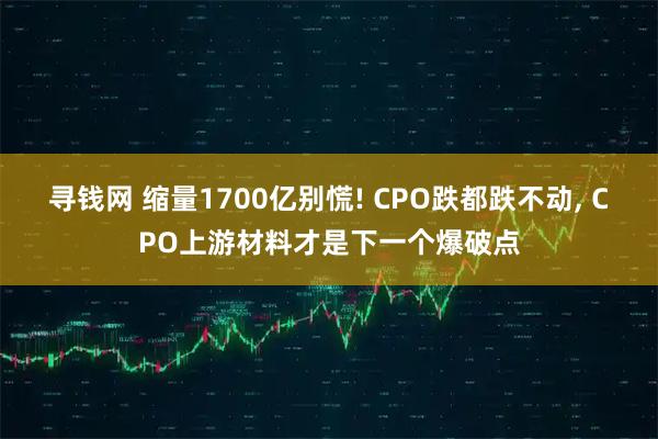 寻钱网 缩量1700亿别慌! CPO跌都跌不动, CPO上游材料才是下一个爆破点