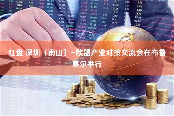 红盘 深圳（南山）—欧盟产业对接交流会在布鲁塞尔举行