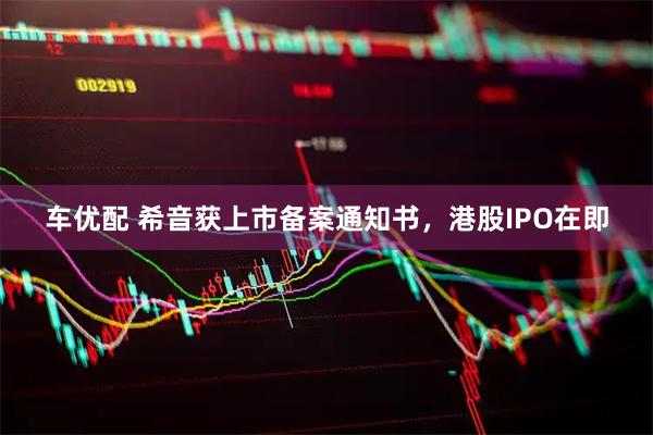 车优配 希音获上市备案通知书,港股IPO在即