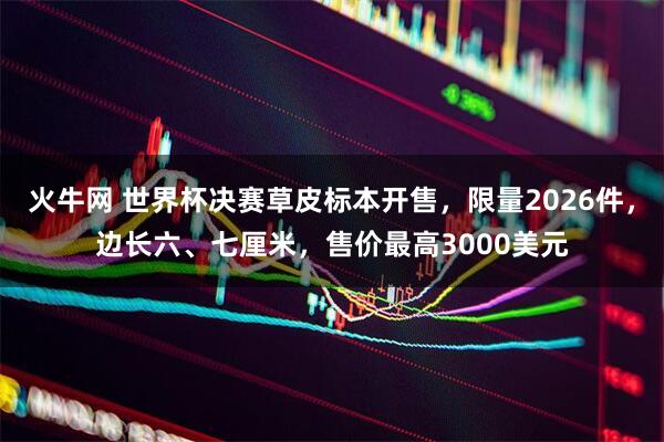 火牛网 世界杯决赛草皮标本开售,限量2026件,边长六、七厘米,售价最高3000美元