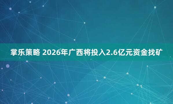 掌乐策略 2026年广西将投入2.6亿元资金找矿