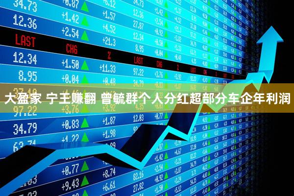 大盈家 宁王赚翻 曾毓群个人分红超部分车企年利润