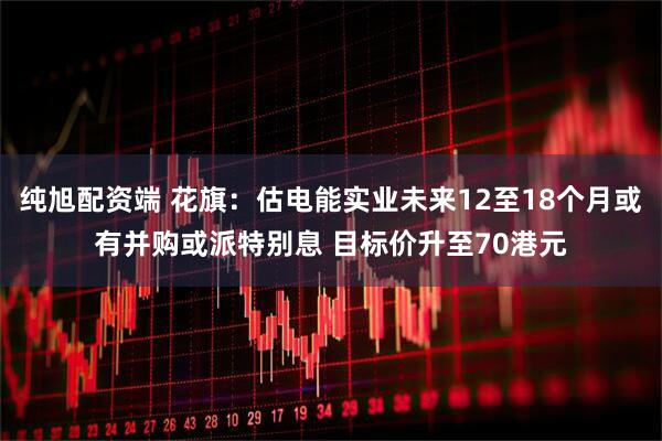 纯旭配资端 花旗：估电能实业未来12至18个月或有并购或派特别息 目标价升至70港元