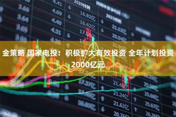 金策略 国家电投：积极扩大有效投资 全年计划投资2000亿元