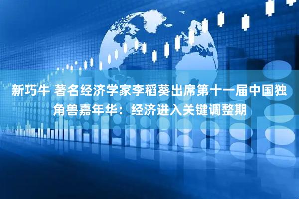 新巧牛 著名经济学家李稻葵出席第十一届中国独角兽嘉年华：经济进入关键调整期