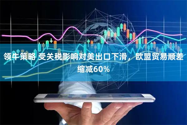 领牛策略 受关税影响对美出口下滑，欧盟贸易顺差缩减60%