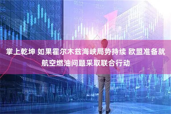 掌上乾坤 如果霍尔木兹海峡局势持续 欧盟准备就航空燃油问题采取联合行动