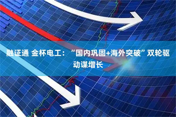 融证通 金杯电工:“国内巩固+海外突破”双轮驱动谋增长