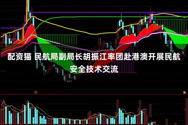 配资猫 民航局副局长胡振江率团赴港澳开展民航安全技术交流