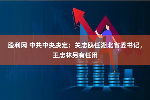 股利网 中共中央决定：关志鸥任湖北省委书记，王忠林另有任用