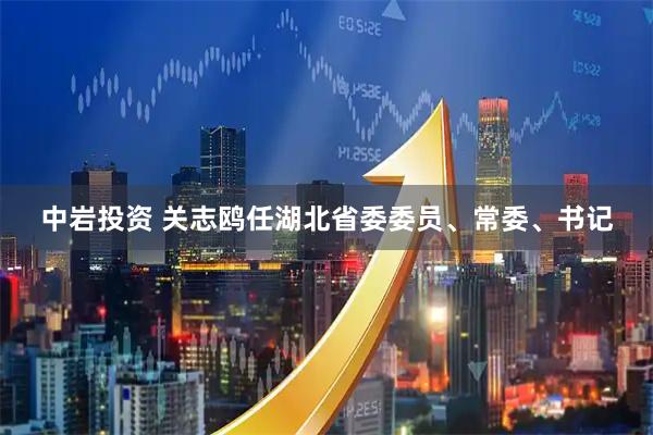 中岩投资 关志鸥任湖北省委委员、常委、书记