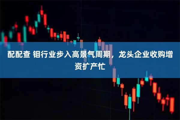 配配查 钼行业步入高景气周期，龙头企业收购增资扩产忙